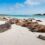3 Reasons that make Galapagos a Dream Destination